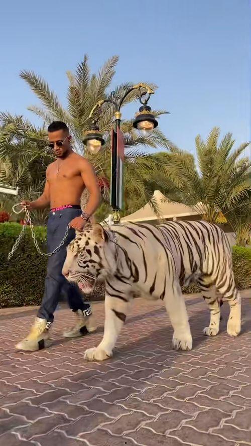 黑哥爆料最新动态视频,揭秘视频背后的惊人真相！